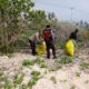 Bersih-Bersih Pantai Pengantap, Peringatan Hari Pahlawan yang Penuh Semangat Gotong Royong