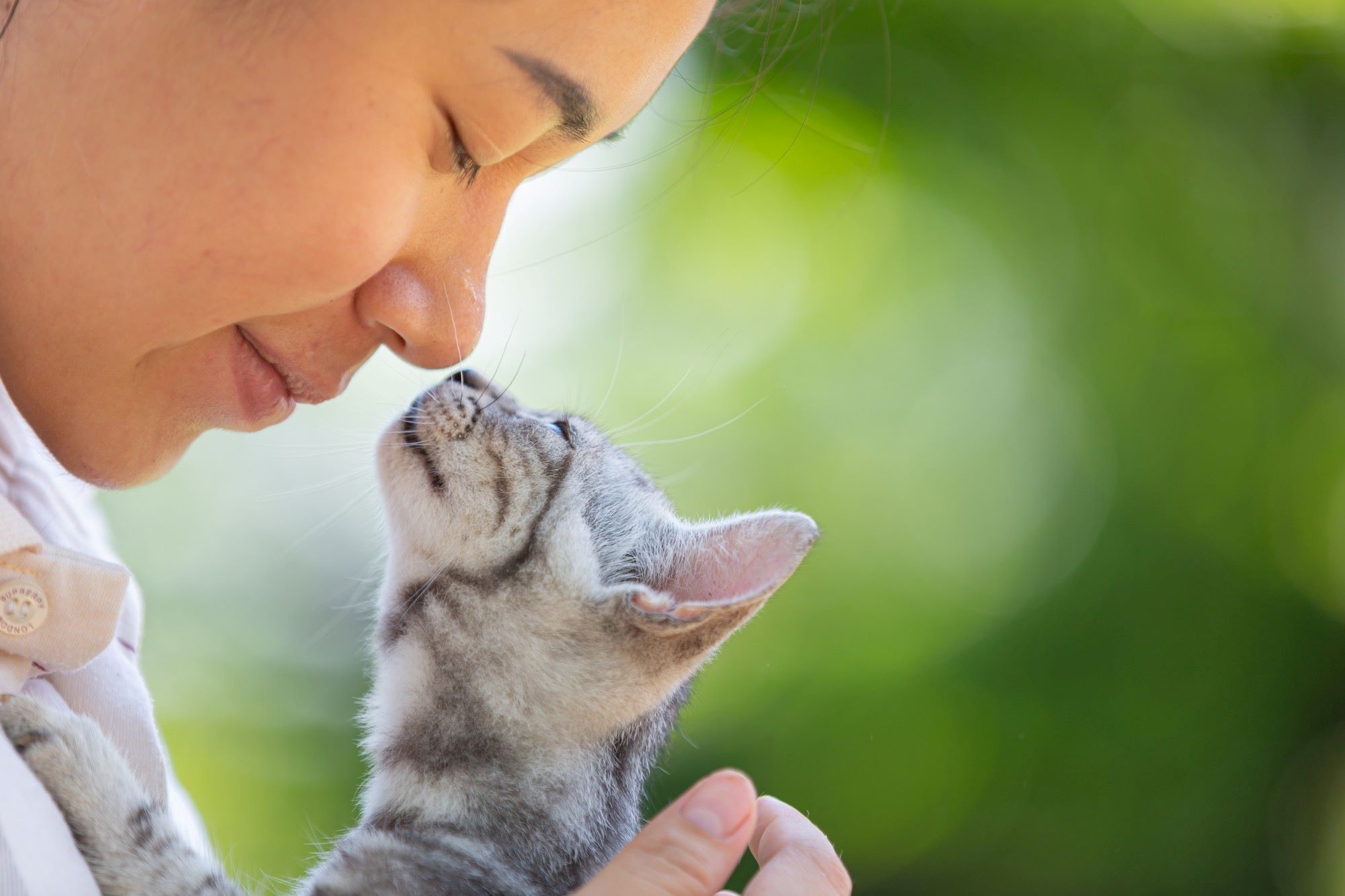 Kucing Cinta Kamu? Ini 12 Cara Mereka Mengungkapkan Perasaan Mereka