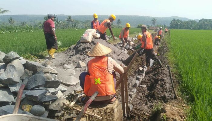 PUPR Genjot Pembangunan Irigasi, Dorong Kesejahteraan Petani Desa