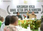 Penanggulangan Bencana di Indonesia, Fokus Baru DPR untuk BPBD dan BNPB