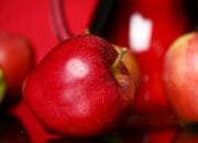 Apa Itu Edible Coating? Manfaat dan Bahan yang Digunakan