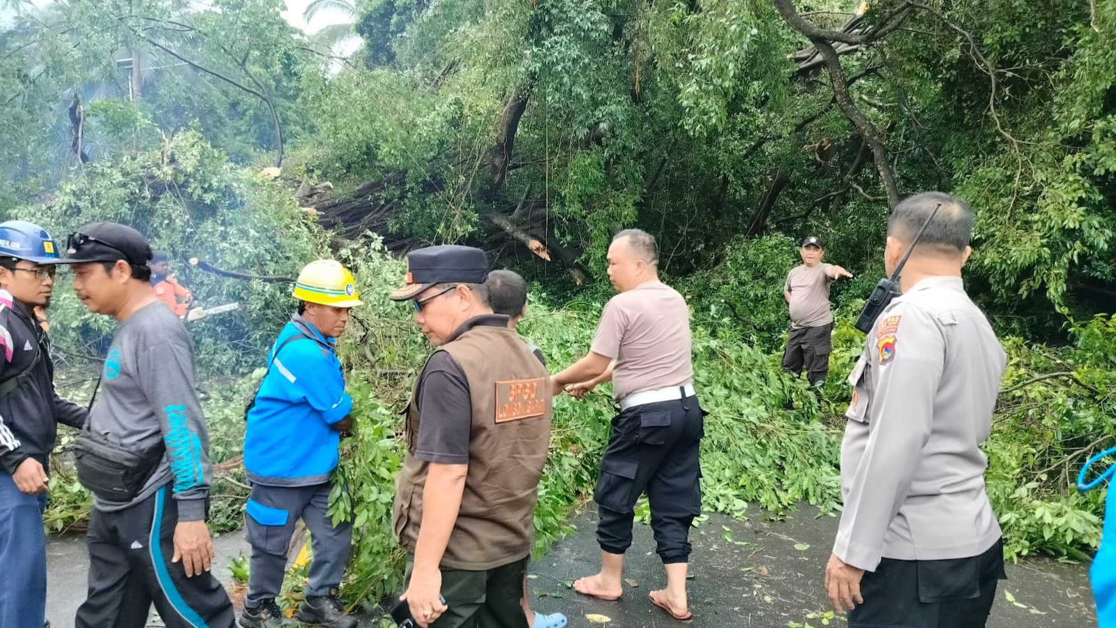 Bencana Puting Beliung di Batulayar Lombok Barat, 16 Rumah Mengalami Kerusakan