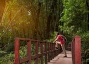 Detox Digital: Bikin Hidup Lebih Tenang, Gak Melulu Soal Notif!