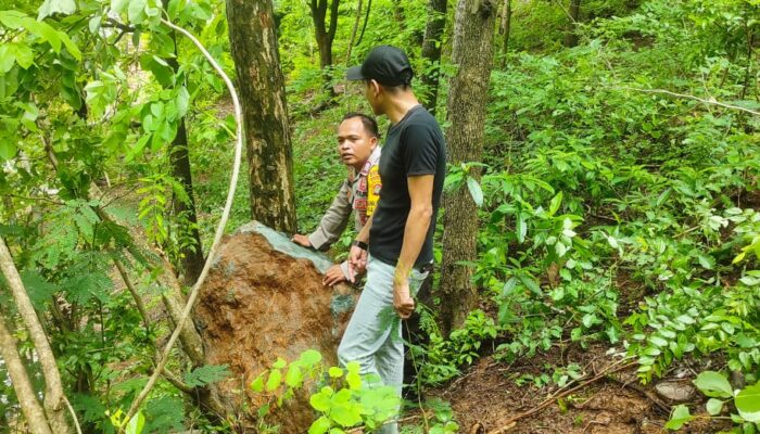 Potensi Berbahaya, Terdapat Enam Buah Batu Tergelincir