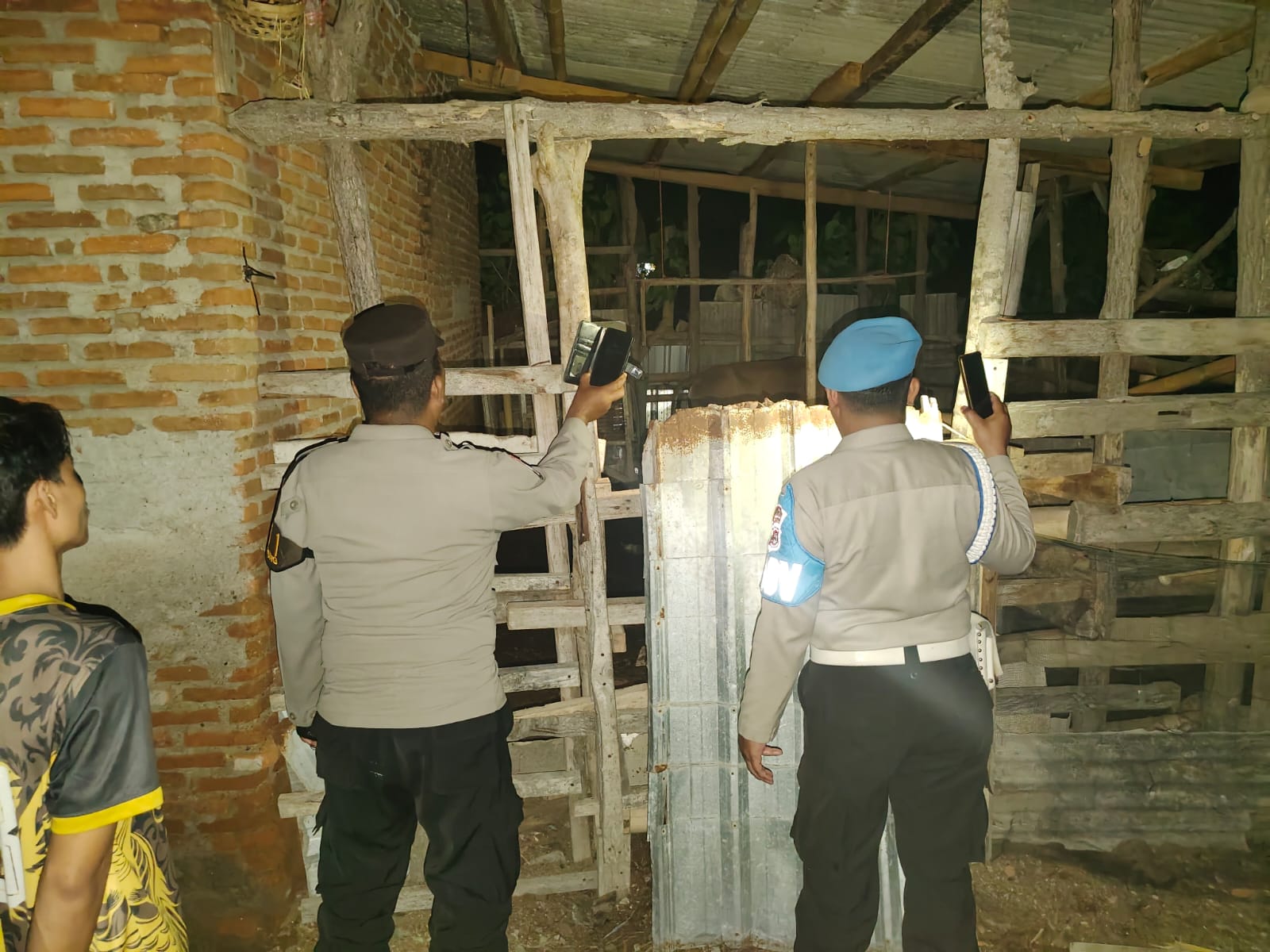 Patroli Tengah Malam, Polsek Sekotong Jaga Keamanan Sapi di Lombok Barat!