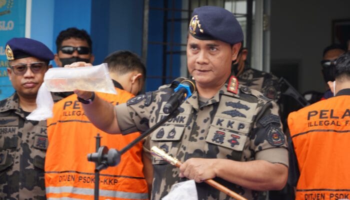 Penyelundupan Benih Lobster Ilegal Digagalkan di Lampung, Nilai Rp7,8 Miliar