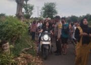 Polsek Gerung Amankan Nyongkolan: Tradisi Budaya Lombok Tanpa Gangguan