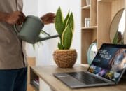 Tanaman Hias yang Cocok untuk Ruang Kerja, Mudah Dirawat!