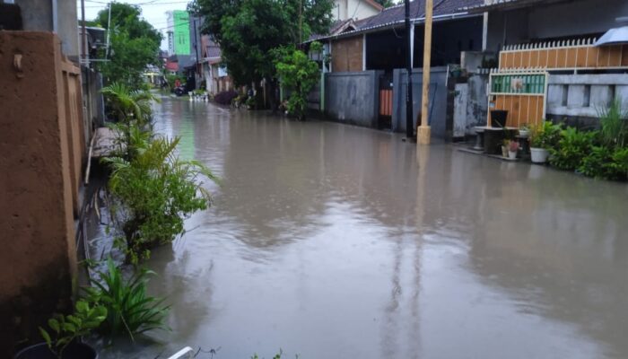 Hujan Deras Melanda BTN Pemda Utara: Puluhan Rumah Tergenang, Warga Minta Solusi Tindak Lanjut