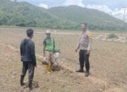 Polri Pantau Penaburan Bibit Padi untuk Dukung Ketahanan Pangan Menuju Indonesia Emas 2045