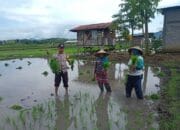 Bhabinkamtibmas Desa Doromelo Gelar Silaturrahmi dan Sosialisasi Program Ketahanan Pangan Nasional