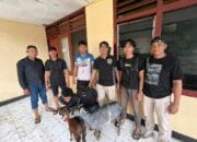 Curi Kambing untuk Foya-Foya, Dua Pelaku Disergap Tim Opsnal Polsek Sape