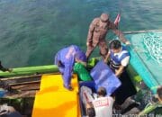 Cegah Pencurian dan Penyelundupan Biota Laut Dilindungi, Sat Polairud Polres Bima Kota dan Tim Gabungan Gelar Patroli