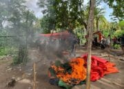 Gerebek Judi Sabung Ayam, Polsek Sape Sita 4 Ekor Ayam Jago dan Bakar Gelanggang Aduan