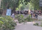Jalan Senggigi Aman: Kolaborasi Polisi-Warga Atasi Ancaman Pohon Rawan