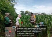 Bhabinkamtibmas Desa Doropeti Dukung Ketahanan Pangan Nasional Menuju Indonesia Emas 2024