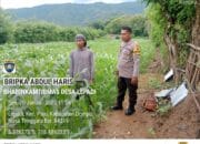 BKTM Desa Lepadi Pantau Lahan Jagung Warga untuk Dukung Program Ketahanan Pangan Nasional Menuju Indonesia Emas 2025