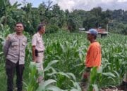 Sat Binmas Polres Bima Kota Pantau Program Ketahanan Pangan di Kelurahan Jatibaru Timur