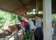 Bhabinkamtibmas Desa Senayan kawal petugas peternakan antisipasi Penyakit Mulut dan Kuku pada ternak