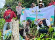 Polsek Wawo Laksanakan Kegiatan Penghijauan dan Penanaman Bibit Buah