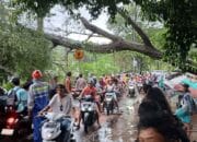 Dengan Sigap Anggota Polsek Pemenang Evakuasi Pohon Tumbang di Wilayah Hukumnyac