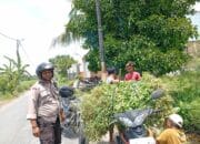 Aksi Nyata Bhabinkamtibmas: Dorong Warga Merembu Mandiri Pangan