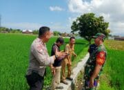 Karang Bongkot Punya Potensi! Lahan Kosong Siap Digarap Petani