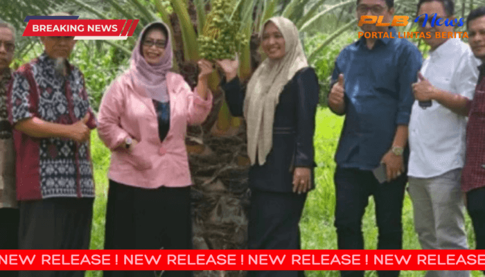 Anggota DPRD Provinsi NTB Mendorong Pertumbuhan Ekonomi Melalui Pengembangan Perkebunan Kurma Di Lombok Utara