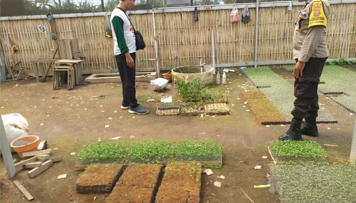 Lombok Barat: Bhabinkamtibmas Edukasi Warga Pentingnya Pekarangan untuk Ketahanan Pangan Keluarga