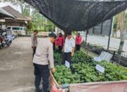 Polsek KP3 Lembar Optimalkan Pekarangan untuk Pangan Lestari