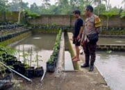 Ketahanan Pangan Jadi Fokus Polsek Kuripan dalam Kegiatan Sambang Desa