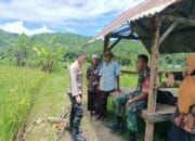 Sinergi Polisi & Petani: Harga Gabah Aman, Panen Tenang!