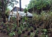 P2B di Desa Bengkel: Polisi Apresiasi Warga yang Rajin Berkebun