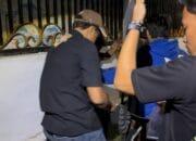Tim Opsnal Polsek Sape Tangkap Terduga Pengedar Narkotika Jenis Sabu