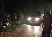 Pohon Tumbang di Teluk Nara, Polsek Pemenang Tangani Insiden Dengan Cepat.