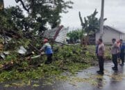 *Respon Cepat Polsek Kayangan Evakuasi Korban dan Pohon Tumbang *