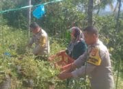 Polsek Tanjung Siap Sambut Lounching Program Ketahanan Pangan Lestari