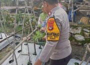 Bhabinkamtibmas Kelurahan Rite Dampingi Pengelolaan Pekarangan Pangan Bergizi