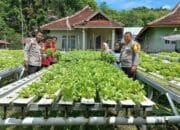 Dukung Ketahanan Pangan, Kasat Binmas Polres Bima Kota Pantau Lahan Pangan Bergizi Warga