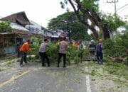 Kapolres Lombok Utara Bantu Warga Bersihkan Ranting Pohon.