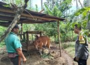 Polri Dukung Program P2B, Warga Batulayar Siap Tanam Sendiri