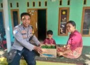 Dorong Kemandirian Pangan, Bhabinkamtibmas Beri Bibit Cabai ke Warga
