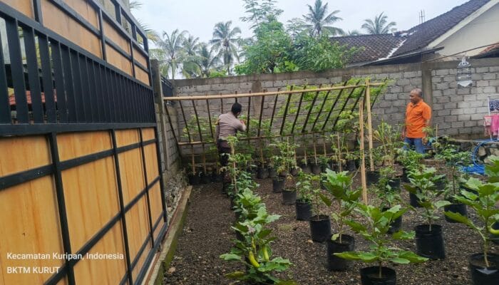 Ketahanan Pangan: Polsek Kuripan Gencar Sosialisasi Berkebun di Pekarangan