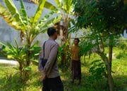 Bhabinkamtibmas Dorong Warga Manfaatkan Pekarangan untuk Ketahanan Pangan