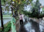 Akses Jalan Rengganis Sempat Tertutup Akibat Pohon Tumbang