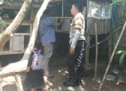 Ketahanan Pangan Dimulai dari Pekarangan: Inisiatif Bhabinkamtibmas Batulayar