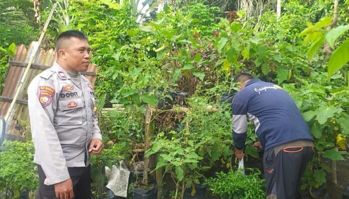 Kapolsek Kuripan Sambangi Warga, Motivasi Kemandirian Pangan