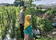 Peran Aktif Bhabinkamtibmas di Labuapi dalam Ketahanan Pangan Nasional