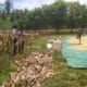 Bhabinkamtibmas Hadir di Ladang Jagung, Petani Merasa Didukung