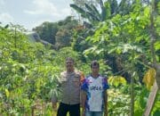 Bhabinkamtibmas Kendo Cek Pekarangan Pangan Bergizi untuk Dukung Ketahanan Pangan Nasional